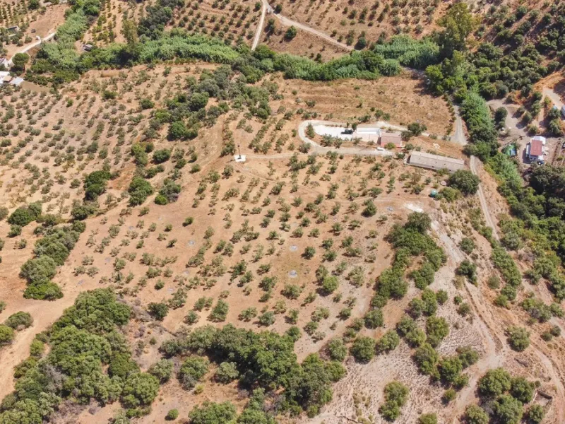 Rustic land of 63,500 m2 located in the municipality of Guaro. Partially occupied by approximately 300 olive trees, it is suitable for planting fruit trees such as almonds, aloe vera, citrus, etc.