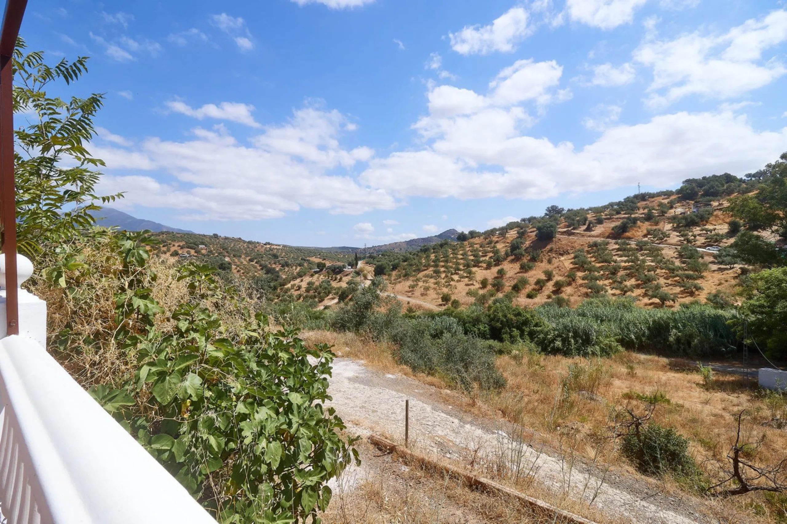 Rustic land of 63,500 m2 located in the municipality of Guaro. Partially occupied by approximately 300 olive trees, it is suitable for planting fruit trees such as almonds, aloe vera, citrus, etc.
