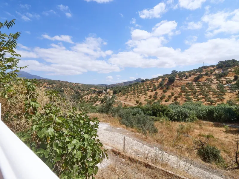 Rustic land of 63,500 m2 located in the municipality of Guaro. Partially occupied by approximately 300 olive trees, it is suitable for planting fruit trees such as almonds, aloe vera, citrus, etc.