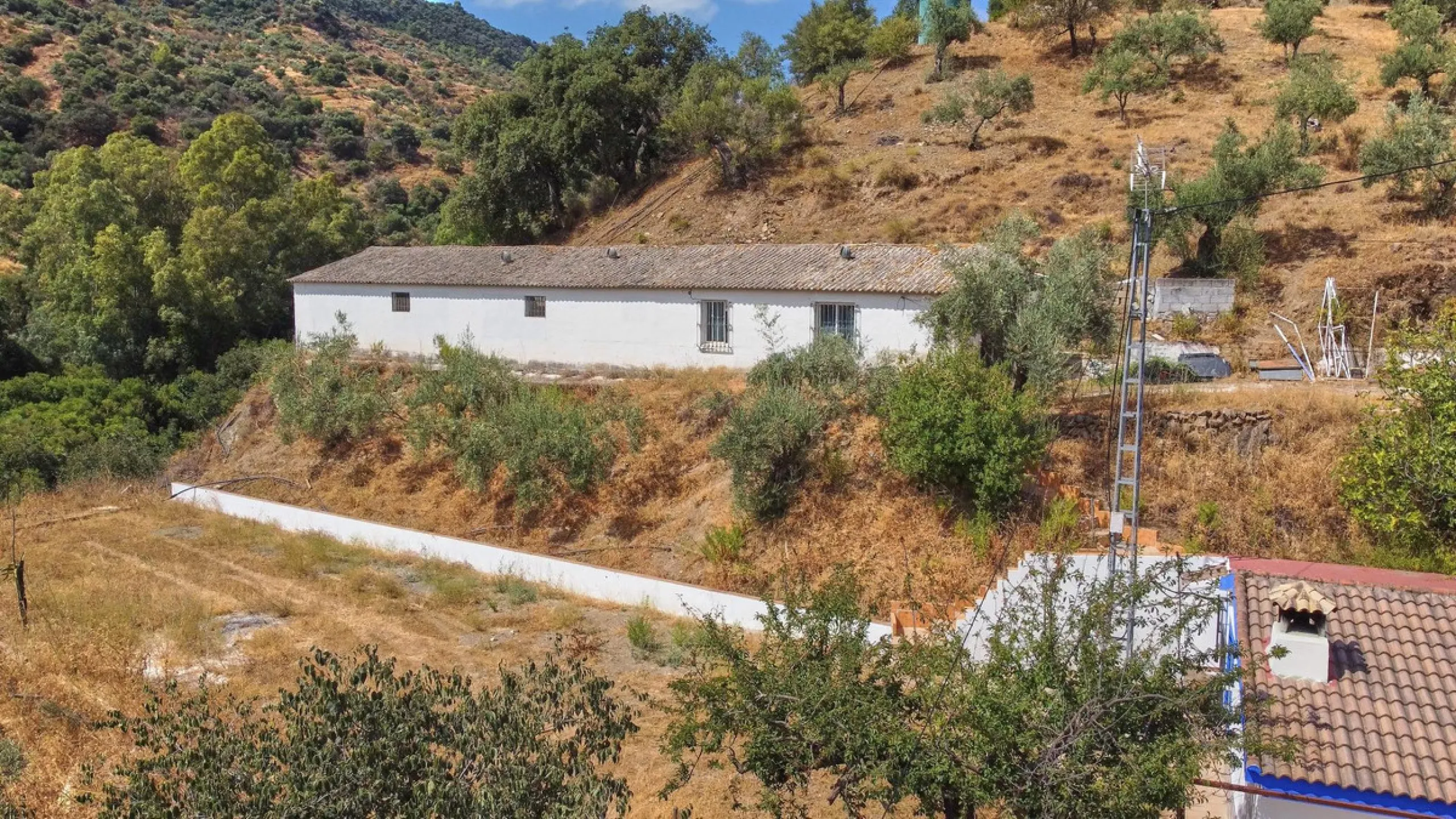 Rustic land of 63,500 m2 located in the municipality of Guaro. Partially occupied by approximately 300 olive trees, it is suitable for planting fruit trees such as almonds, aloe vera, citrus, etc.