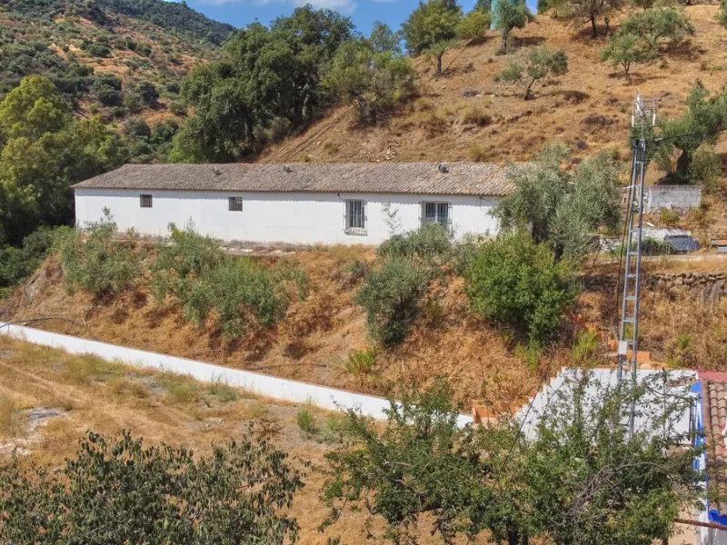 Rustic land of 63,500 m2 located in the municipality of Guaro. Partially occupied by approximately 300 olive trees, it is suitable for planting fruit trees such as almonds, aloe vera, citrus, etc.