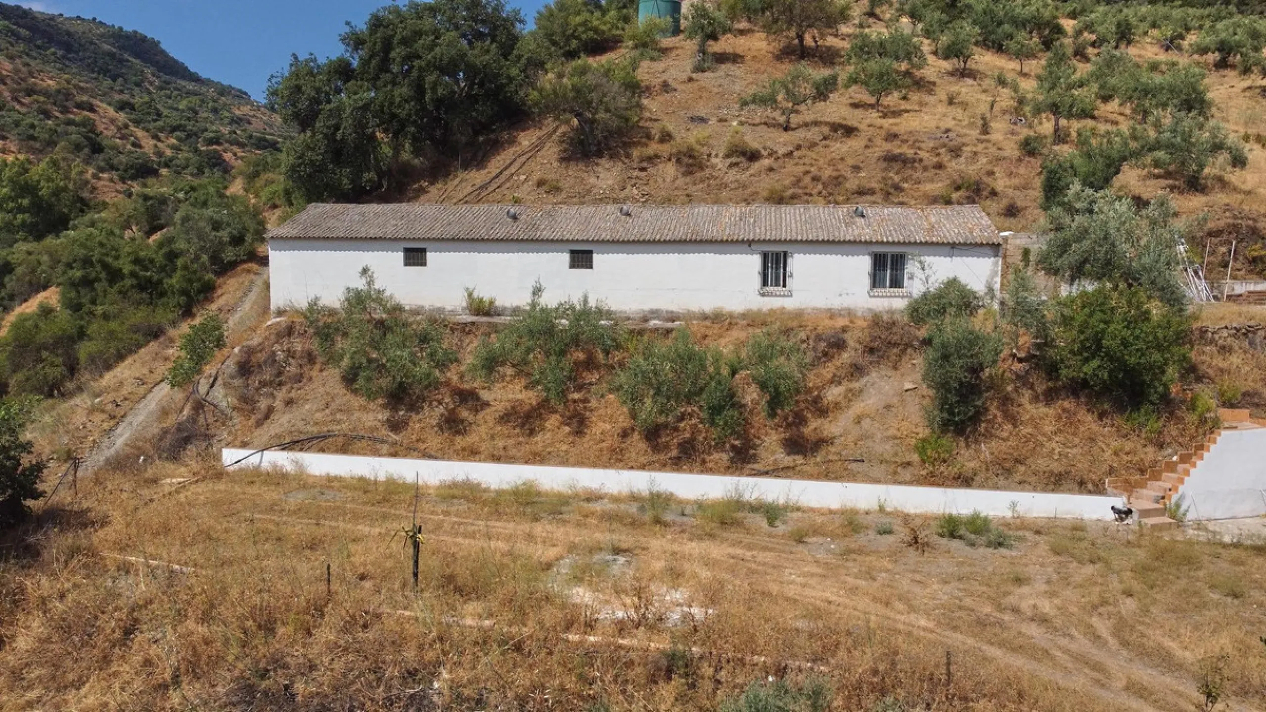 Rustic land of 63,500 m2 located in the municipality of Guaro. Partially occupied by approximately 300 olive trees, it is suitable for planting fruit trees such as almonds, aloe vera, citrus, etc.