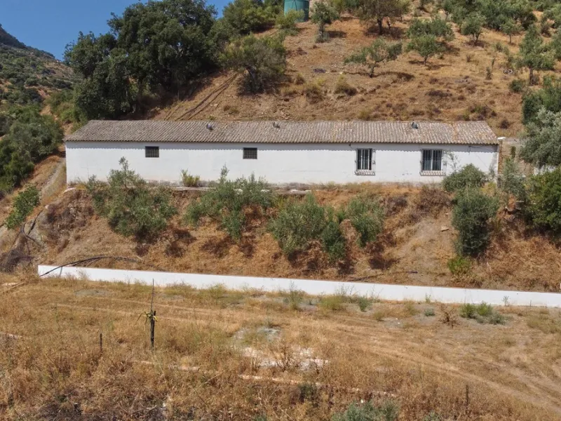 Rustic land of 63,500 m2 located in the municipality of Guaro. Partially occupied by approximately 300 olive trees, it is suitable for planting fruit trees such as almonds, aloe vera, citrus, etc.