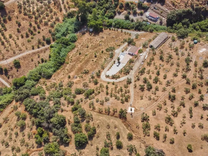 Rustic land of 63,500 m2 located in the municipality of Guaro. Partially occupied by approximately 300 olive trees, it is suitable for planting fruit trees such as almonds, aloe vera, citrus, etc.