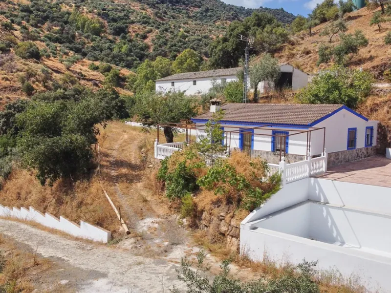 Rustic land of 63,500 m2 located in the municipality of Guaro. Partially occupied by approximately 300 olive trees, it is suitable for planting fruit trees such as almonds, aloe vera, citrus, etc.