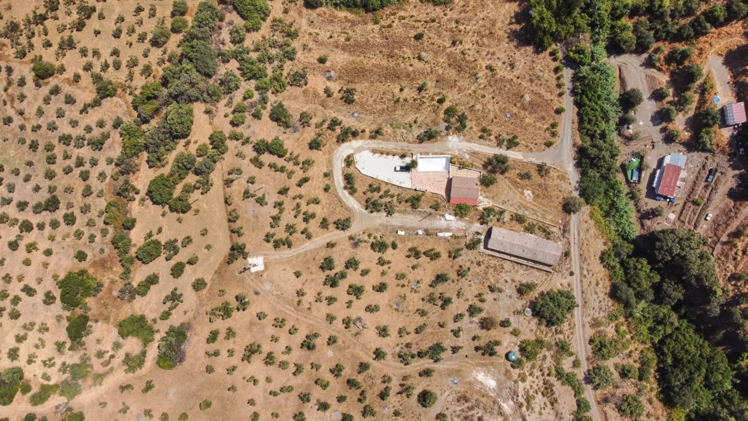 Rustic land of 63,500 m2 located in the municipality of Guaro. Partially occupied by approximately 300 olive trees, it is suitable for planting fruit trees such as almonds, aloe vera, citrus, etc.
