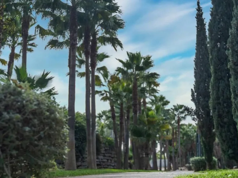 Exclusive Sustainable Residences in El Higuerón, Costa del Sol& & Modern Living with Mediterranean Views& Located in one of the most prestigious areas of the Costa del Sol, this new residential development in El Higuerón enjoys a privileged south