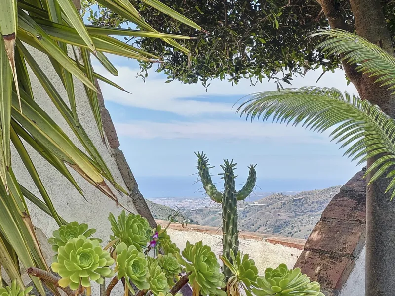 This charming Spanish country house in Sayalonga/Árchez, Málaga, blends traditional character with modern comfort all set against a backdrop of breathtaking views. The property offers a constructed area of 199 m2 and 148 m2 of living space spread over two