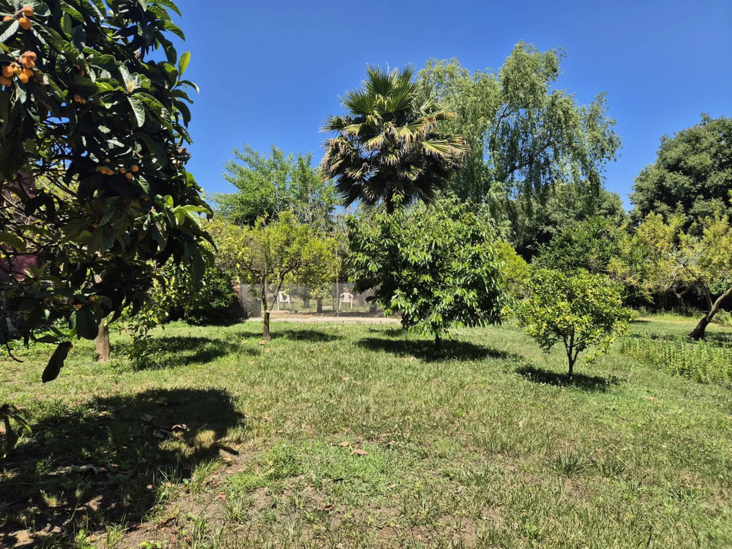 A fantastic opportunity to acquire this fantastic property located only 7 minute drive from the main road into Alhaurin el Grande. Mostly tarmac and the last 2 minutes the road is a mixture of stone and concrete it is a lovely nature getaway. The property