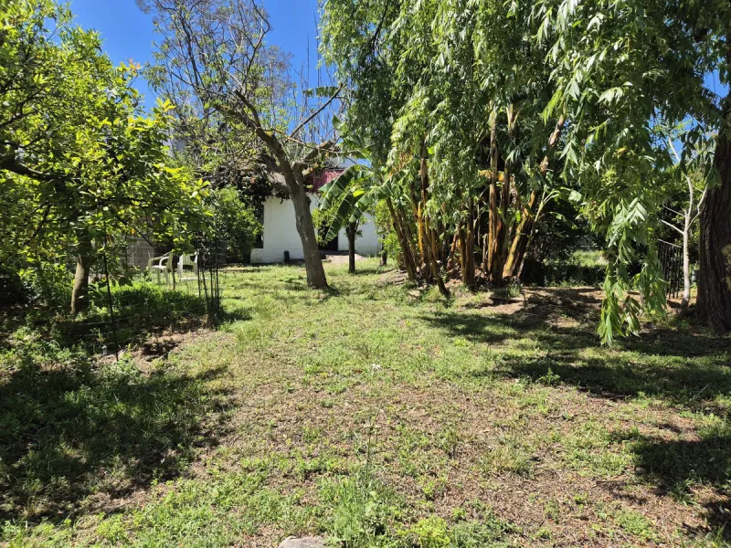 A fantastic opportunity to acquire this fantastic property located only 7 minute drive from the main road into Alhaurin el Grande. Mostly tarmac and the last 2 minutes the road is a mixture of stone and concrete it is a lovely nature getaway. The property