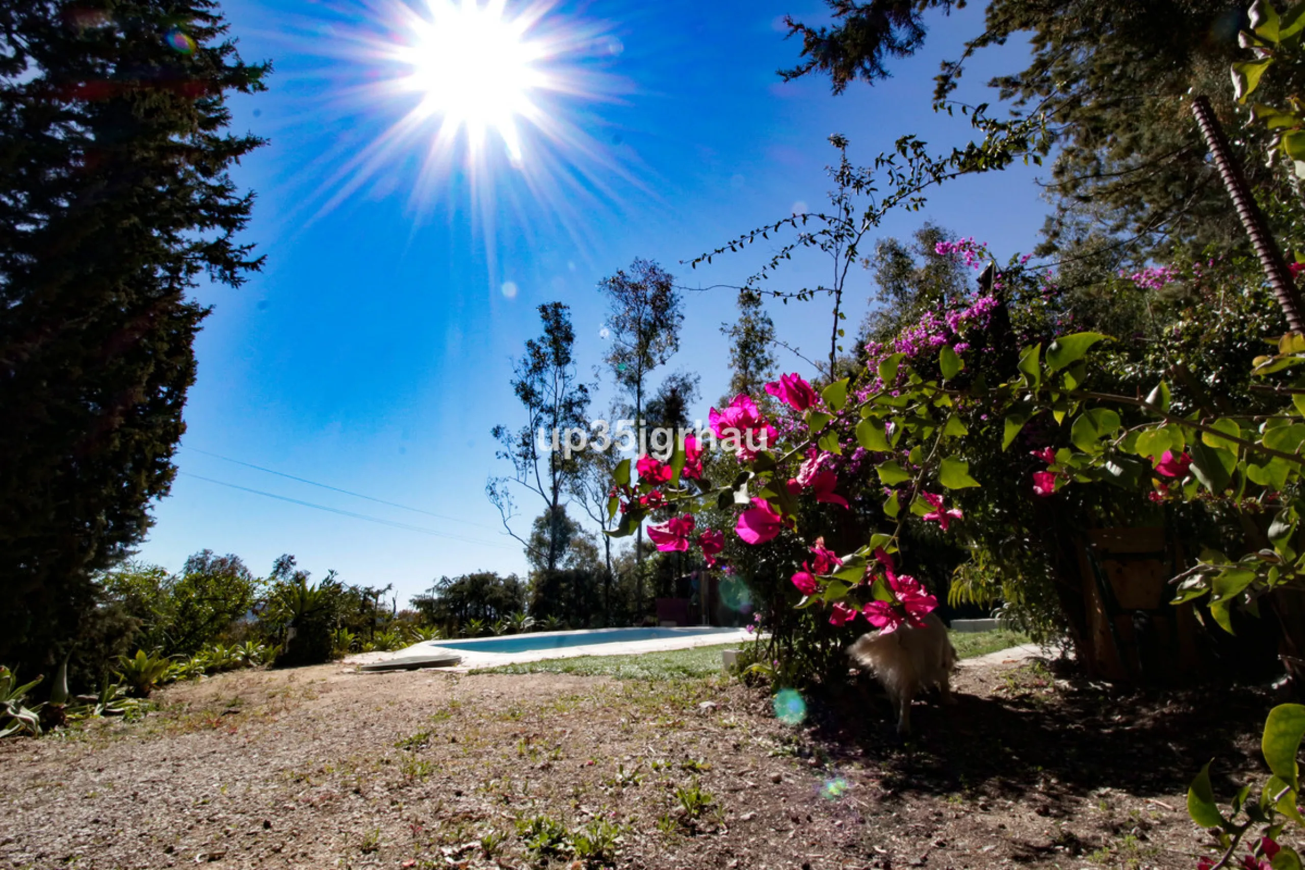 Detached Villa, Gaucín, Costa del Sol.