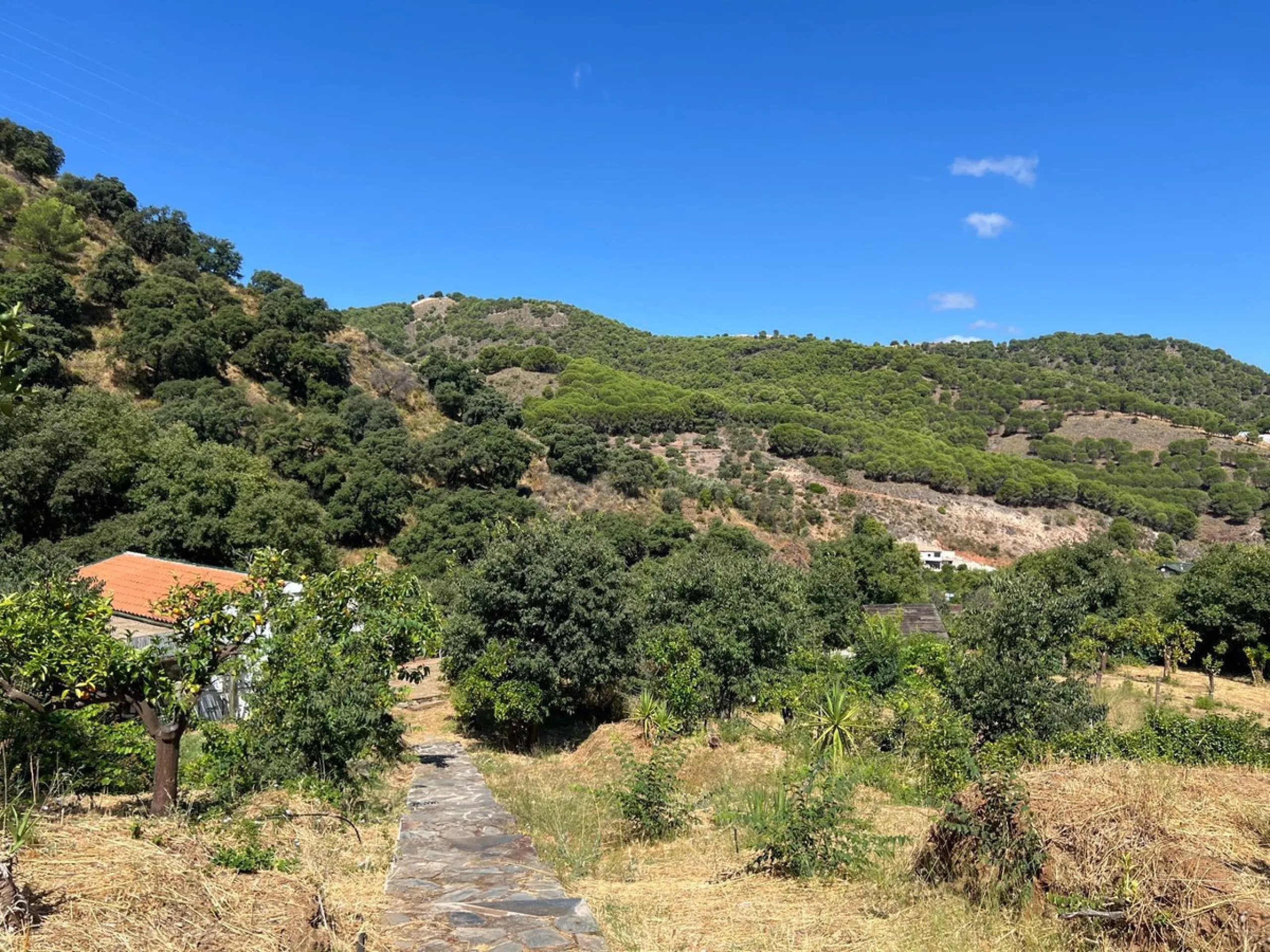 A biodynamic farm 20 minutes from Marbella, in a unique natural setting, with a river and mineral water spring at the foot of the farm, surrounded by trees. This self-sufficient farm boasts a wide variety of fruit trees and an organic garden.