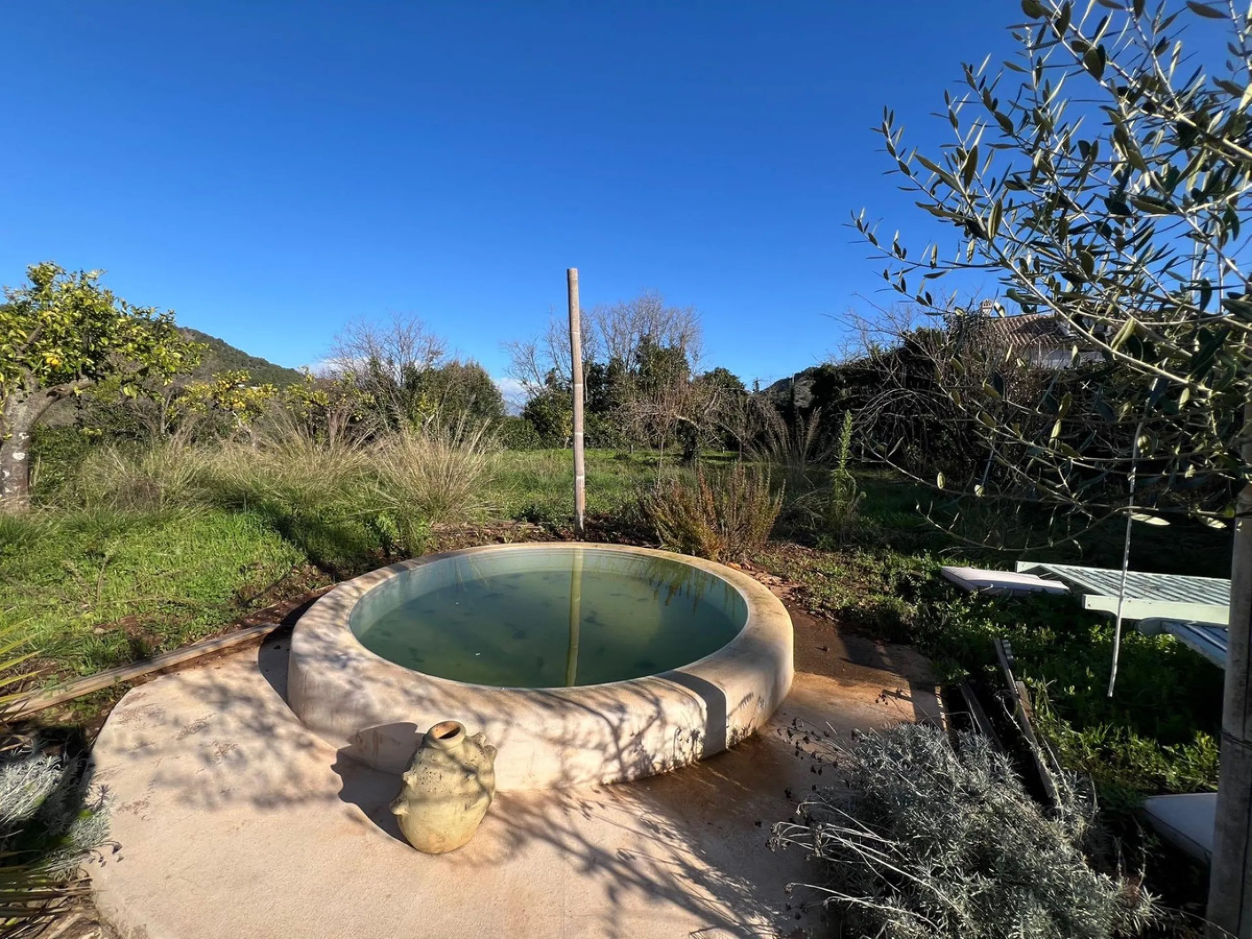 A biodynamic farm 20 minutes from Marbella, in a unique natural setting, with a river and mineral water spring at the foot of the farm, surrounded by trees. This self-sufficient farm boasts a wide variety of fruit trees and an organic garden.
