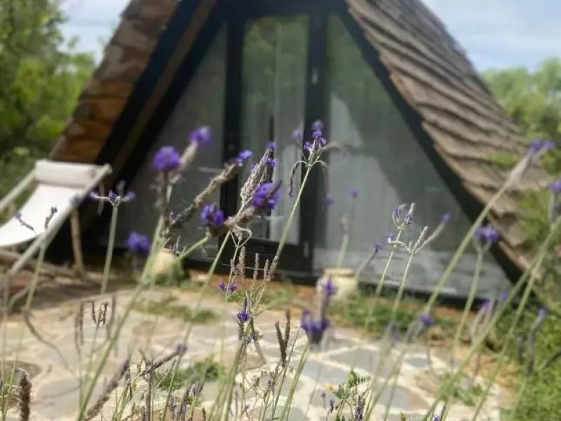 A biodynamic farm 20 minutes from Marbella, in a unique natural setting, with a river and mineral water spring at the foot of the farm, surrounded by trees. This self-sufficient farm boasts a wide variety of fruit trees and an organic garden.