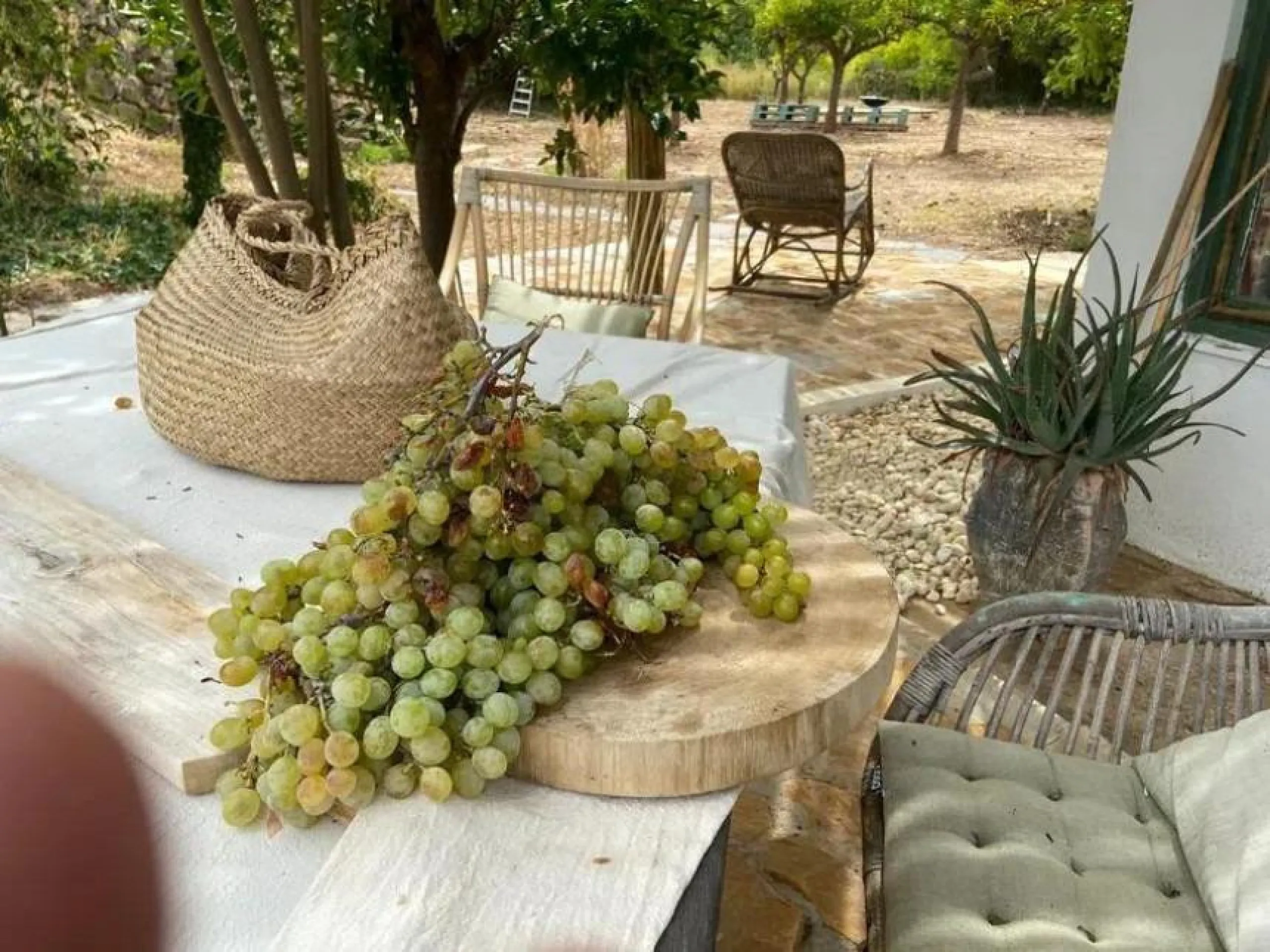 A biodynamic farm 20 minutes from Marbella, in a unique natural setting, with a river and mineral water spring at the foot of the farm, surrounded by trees. This self-sufficient farm boasts a wide variety of fruit trees and an organic garden.
