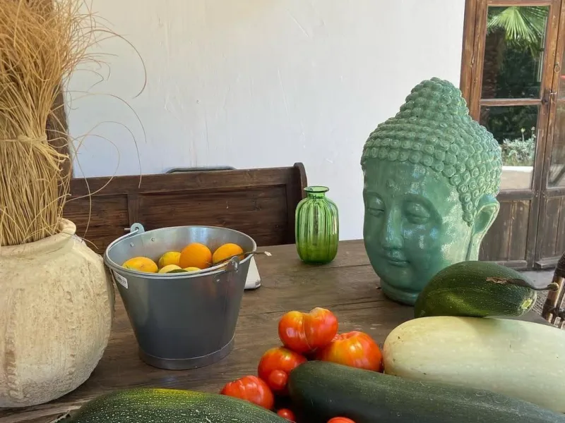 A biodynamic farm 20 minutes from Marbella, in a unique natural setting, with a river and mineral water spring at the foot of the farm, surrounded by trees. This self-sufficient farm boasts a wide variety of fruit trees and an organic garden.