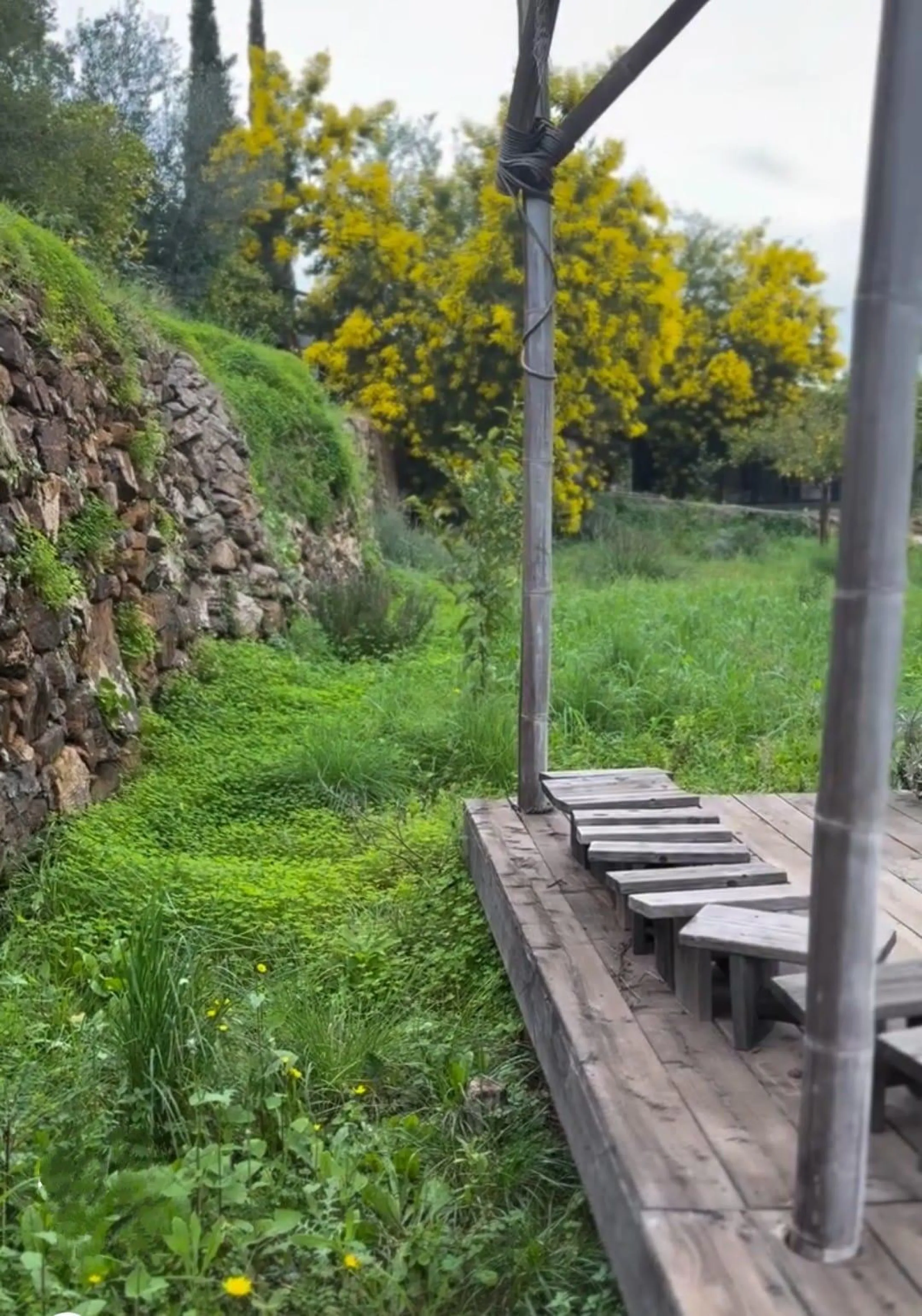 A biodynamic farm 20 minutes from Marbella, in a unique natural setting, with a river and mineral water spring at the foot of the farm, surrounded by trees. This self-sufficient farm boasts a wide variety of fruit trees and an organic garden.