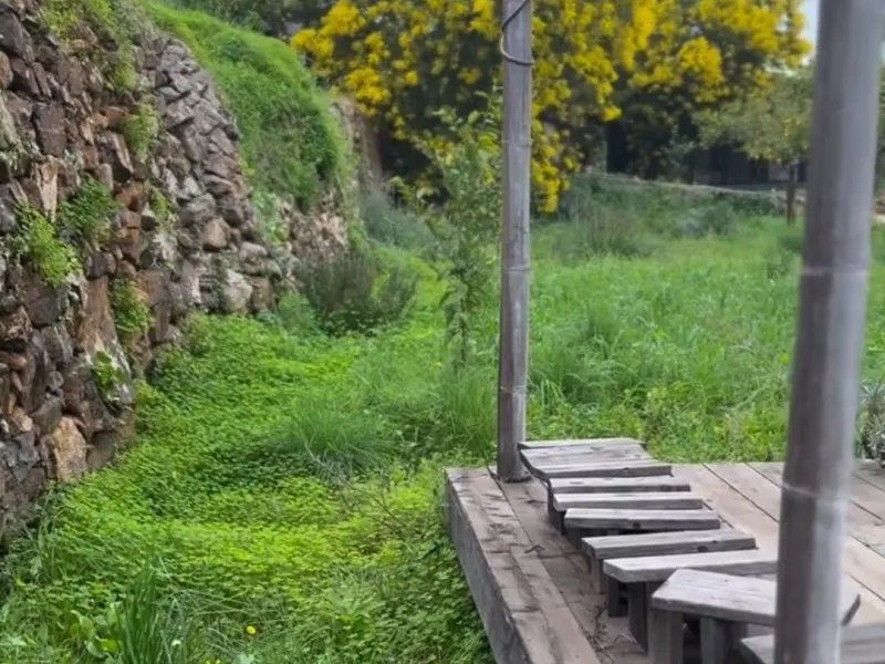 A biodynamic farm 20 minutes from Marbella, in a unique natural setting, with a river and mineral water spring at the foot of the farm, surrounded by trees. This self-sufficient farm boasts a wide variety of fruit trees and an organic garden.