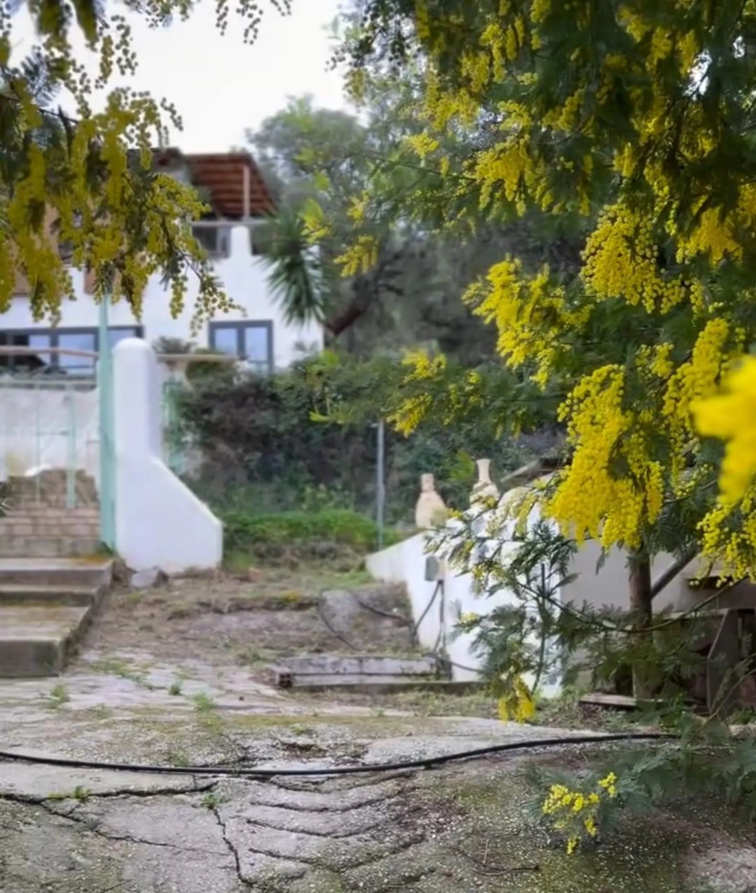 A biodynamic farm 20 minutes from Marbella, in a unique natural setting, with a river and mineral water spring at the foot of the farm, surrounded by trees. This self-sufficient farm boasts a wide variety of fruit trees and an organic garden.