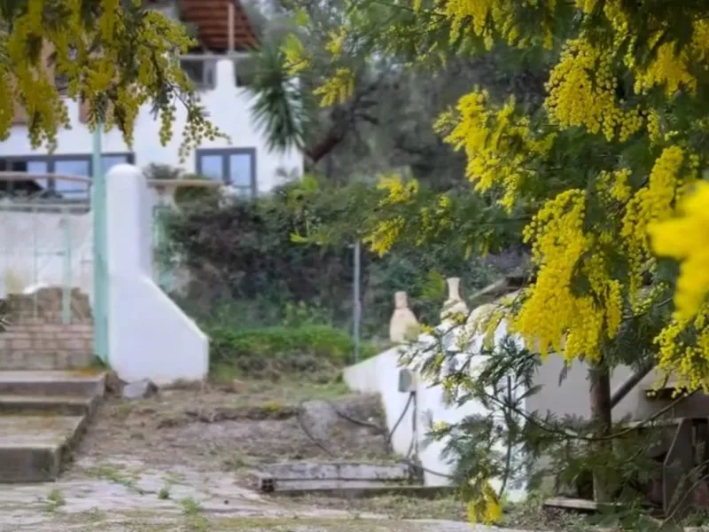 A biodynamic farm 20 minutes from Marbella, in a unique natural setting, with a river and mineral water spring at the foot of the farm, surrounded by trees. This self-sufficient farm boasts a wide variety of fruit trees and an organic garden.
