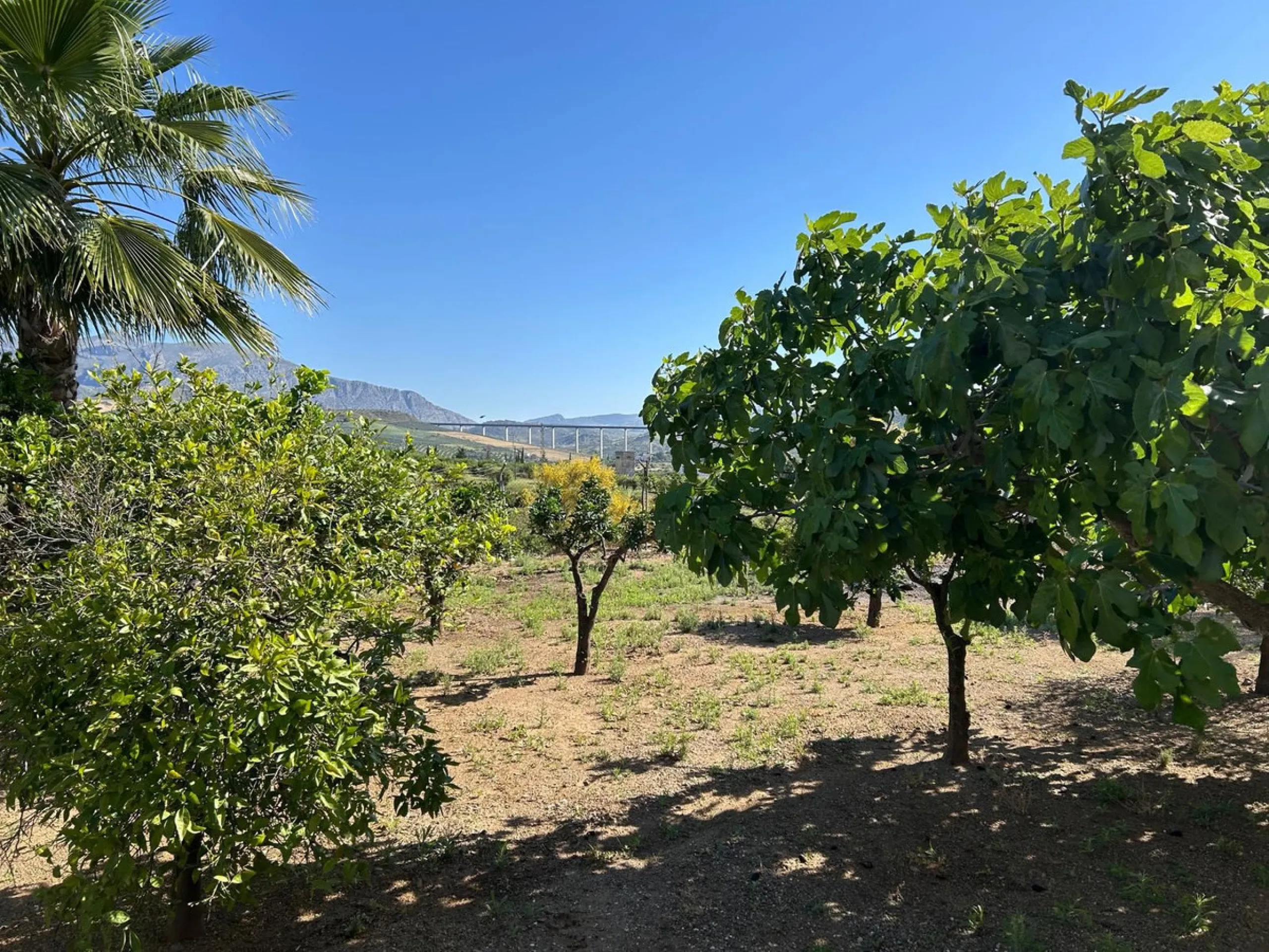 Detached house in Álora, one of the most charming villages in the interior of Málaga.