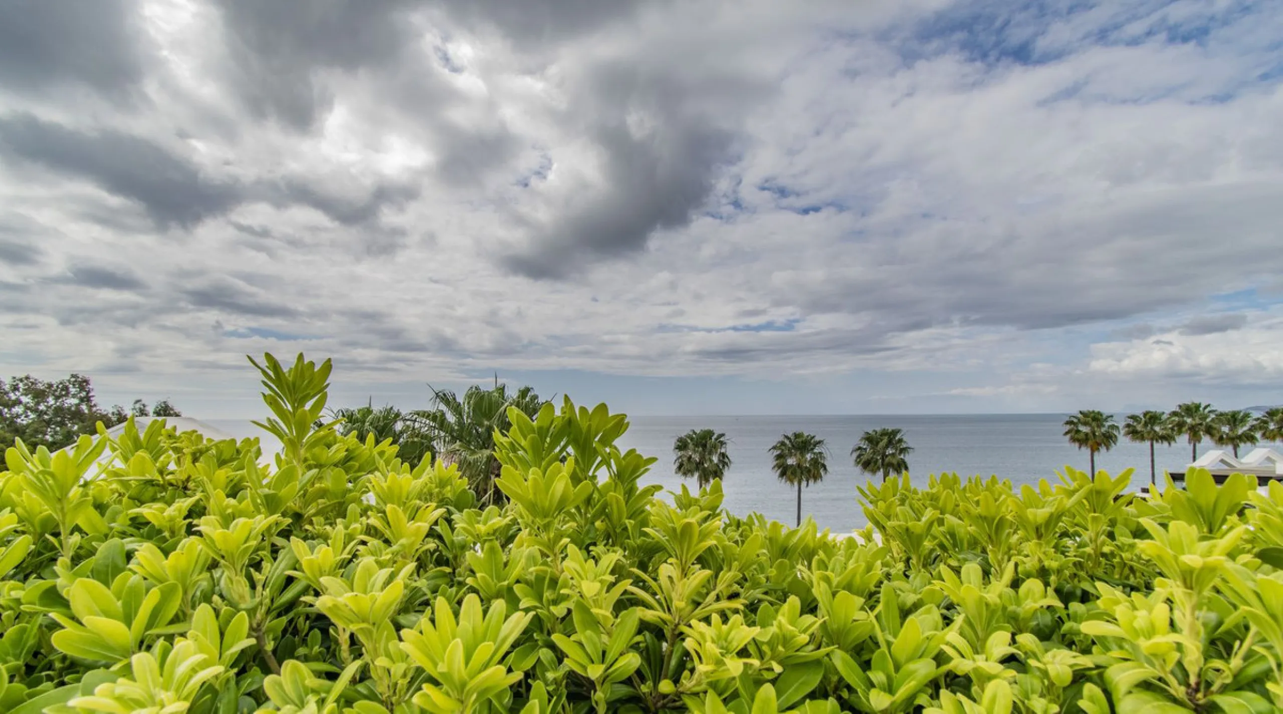 UNIQUE BEACHFRONT PROPERTY WITH SEA VIEWS