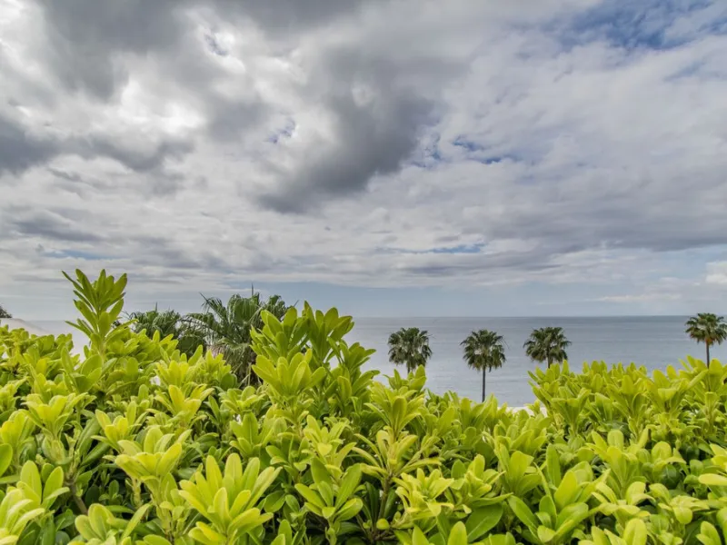 UNIQUE BEACHFRONT PROPERTY WITH SEA VIEWS