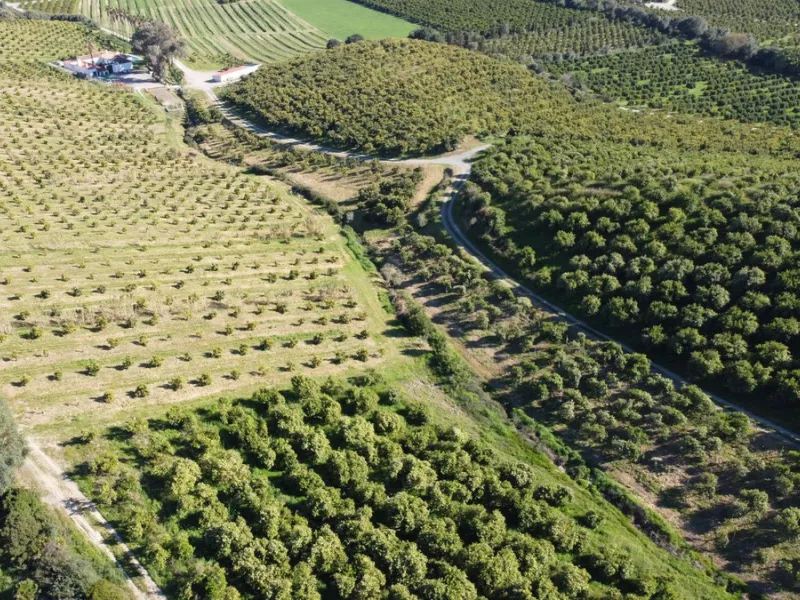 Welcome to a unique opportunity in the heart of nature!