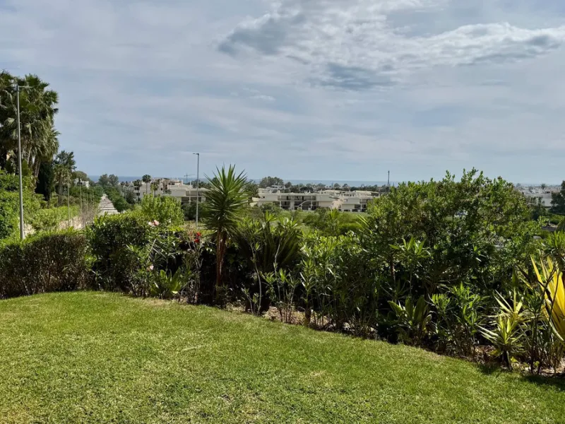 A Hidden Gem in the Heart of Nueva Andalucía