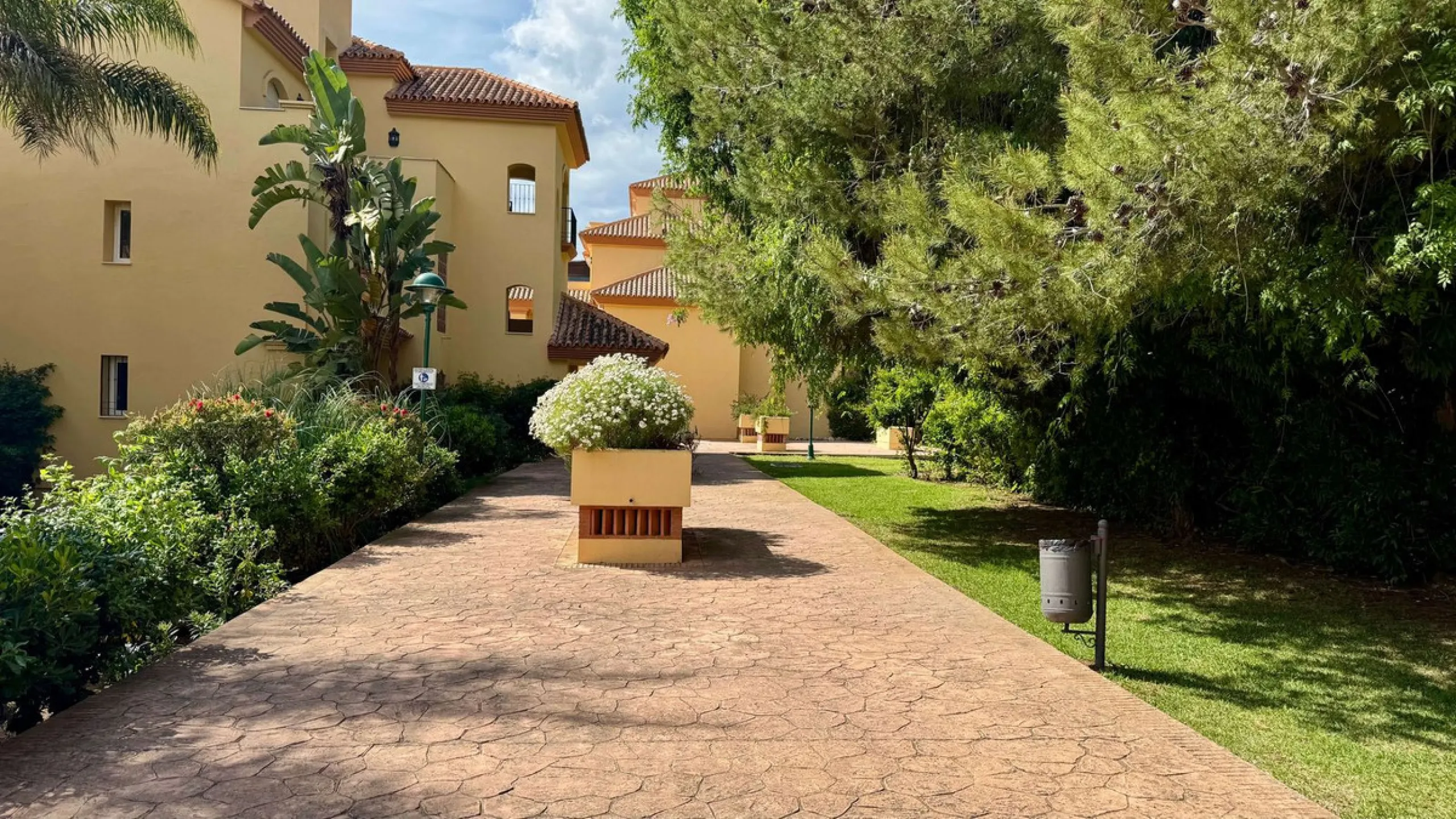 A Hidden Gem in the Heart of Nueva Andalucía