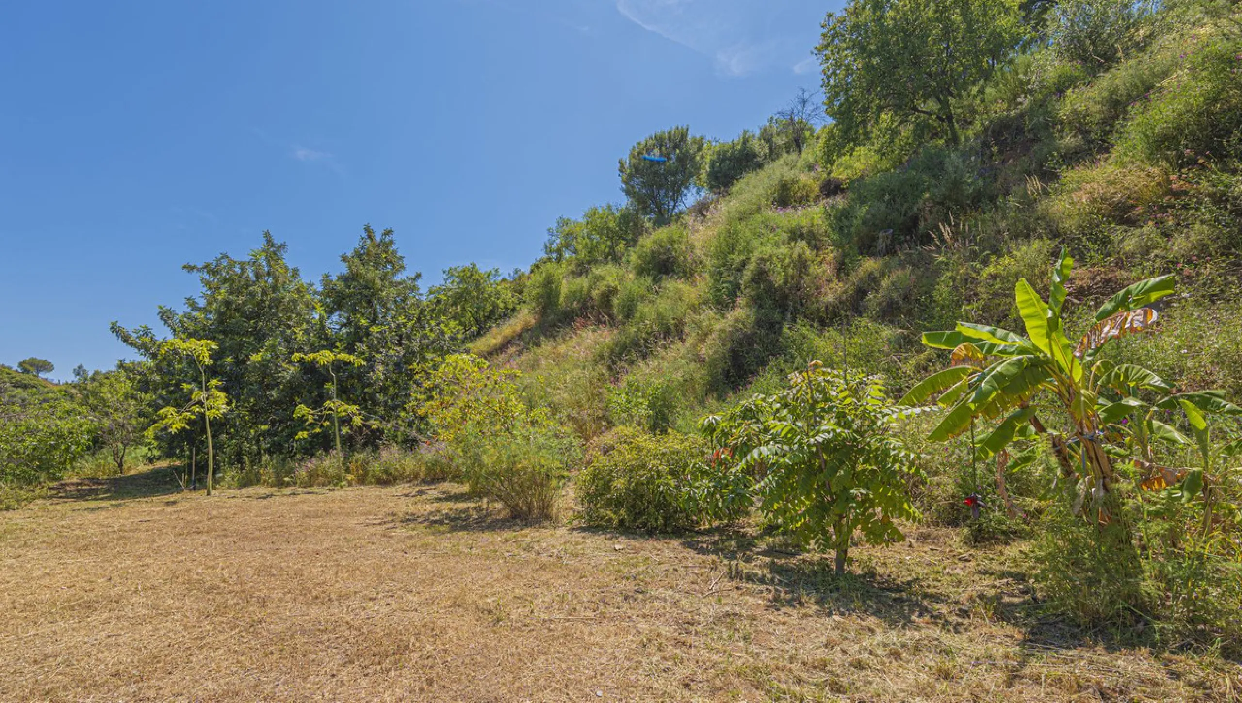 Situated at a 25 minutes walk to Estepona city and a two minute drive to the AP7 highway, this former 9 hole golf course is one of a kind.