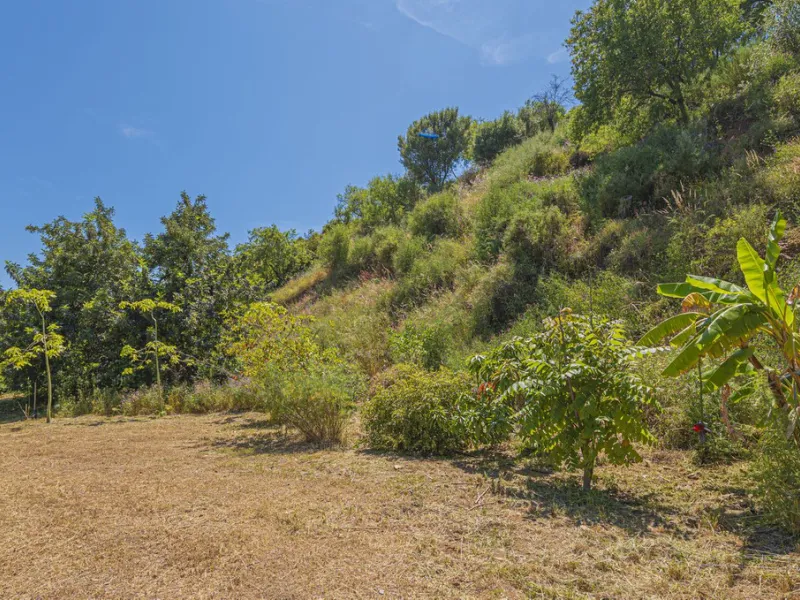Situated at a 25 minutes walk to Estepona city and a two minute drive to the AP7 highway, this former 9 hole golf course is one of a kind.