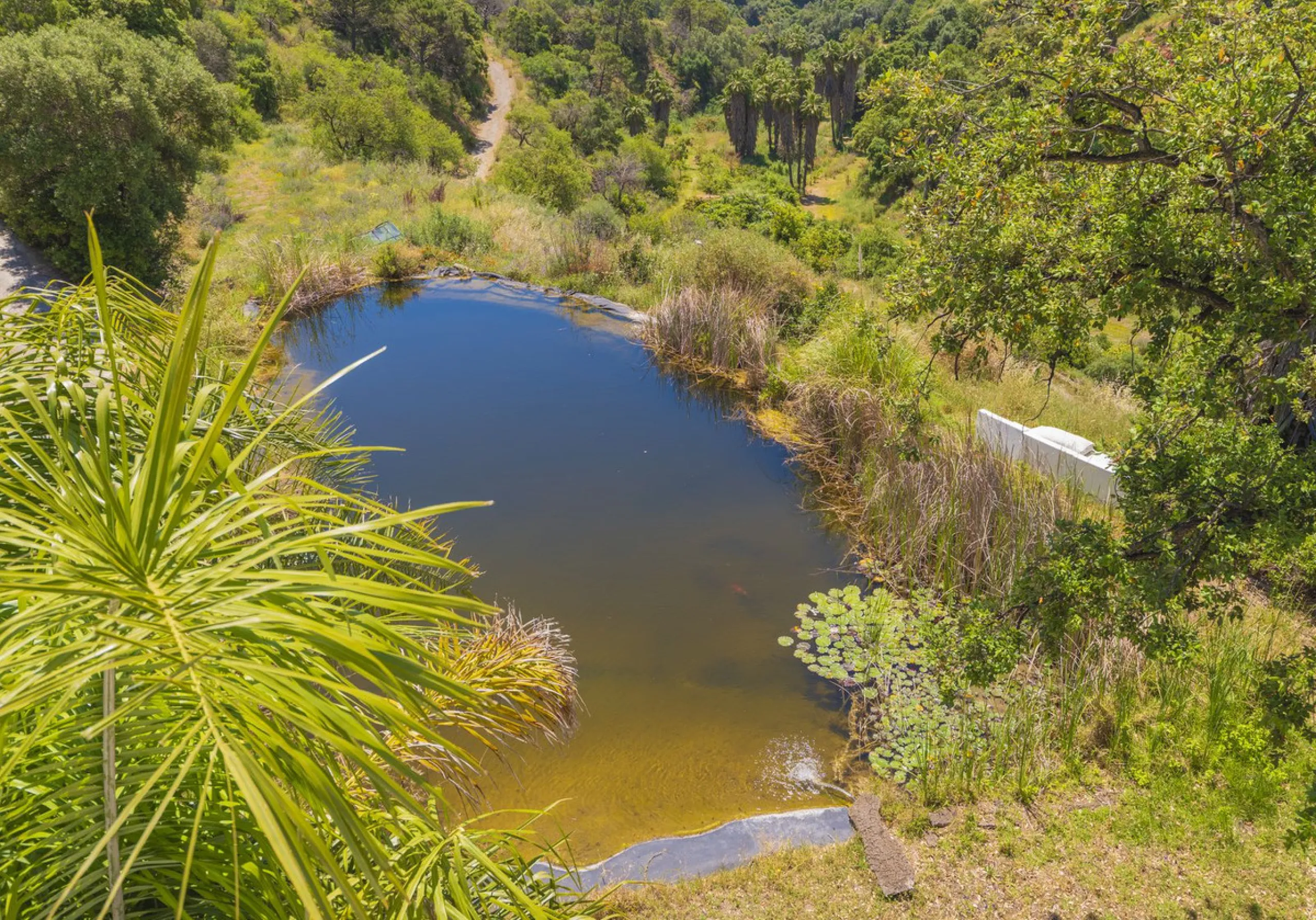 Situated at a 25 minutes walk to Estepona city and a two minute drive to the AP7 highway, this former 9 hole golf course is one of a kind.