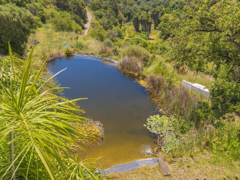 Situated at a 25 minutes walk to Estepona city and a two minute drive to the AP7 highway, this former 9 hole golf course is one of a kind.