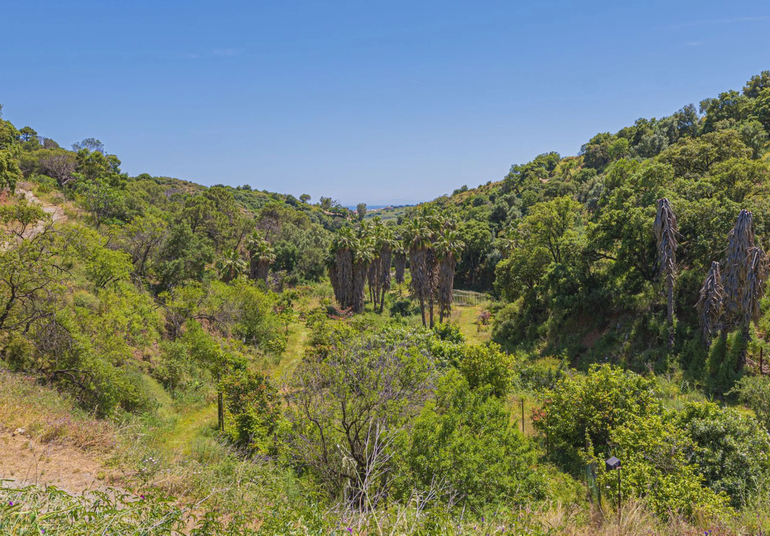 Situated at a 25 minutes walk to Estepona city and a two minute drive to the AP7 highway, this former 9 hole golf course is one of a kind.