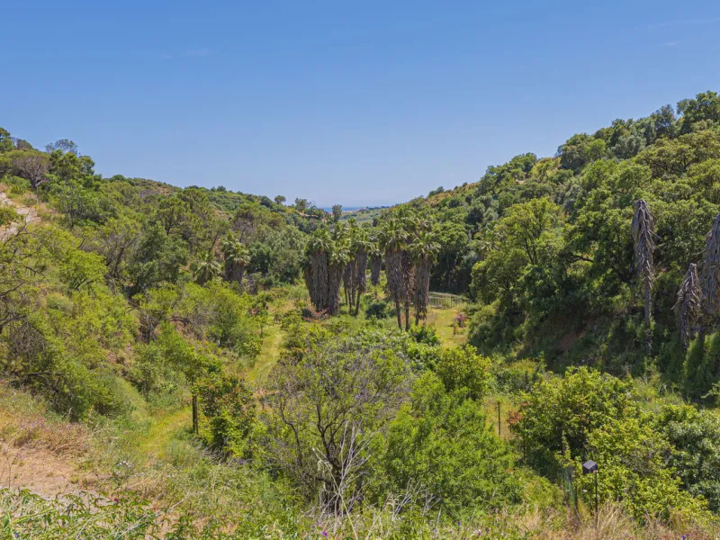 Situated at a 25 minutes walk to Estepona city and a two minute drive to the AP7 highway, this former 9 hole golf course is one of a kind.