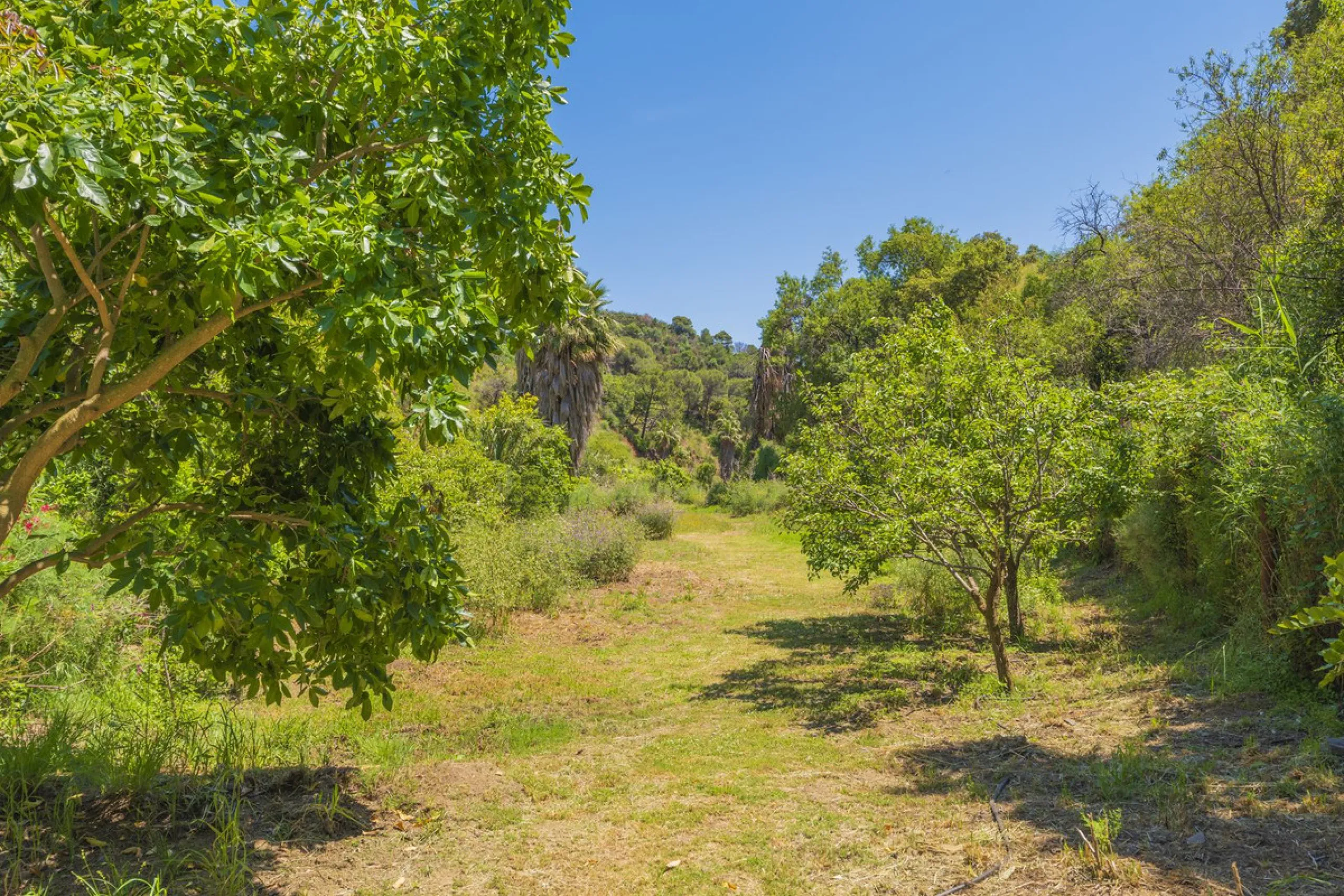 Situated at a 25 minutes walk to Estepona city and a two minute drive to the AP7 highway, this former 9 hole golf course is one of a kind.