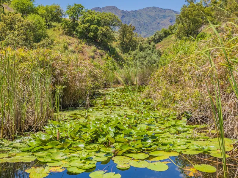 Situated at a 25 minutes walk to Estepona city and a two minute drive to the AP7 highway, this former 9 hole golf course is one of a kind.