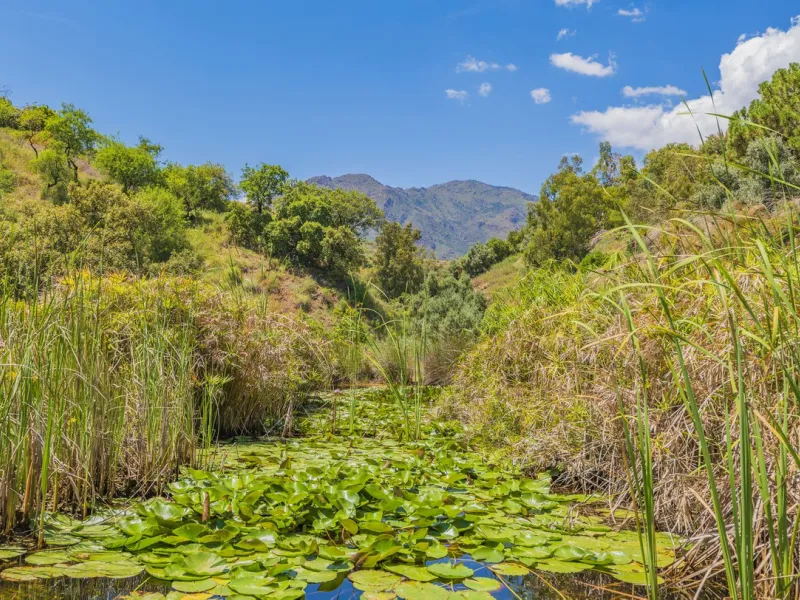 Situated at a 25 minutes walk to Estepona city and a two minute drive to the AP7 highway, this former 9 hole golf course is one of a kind.