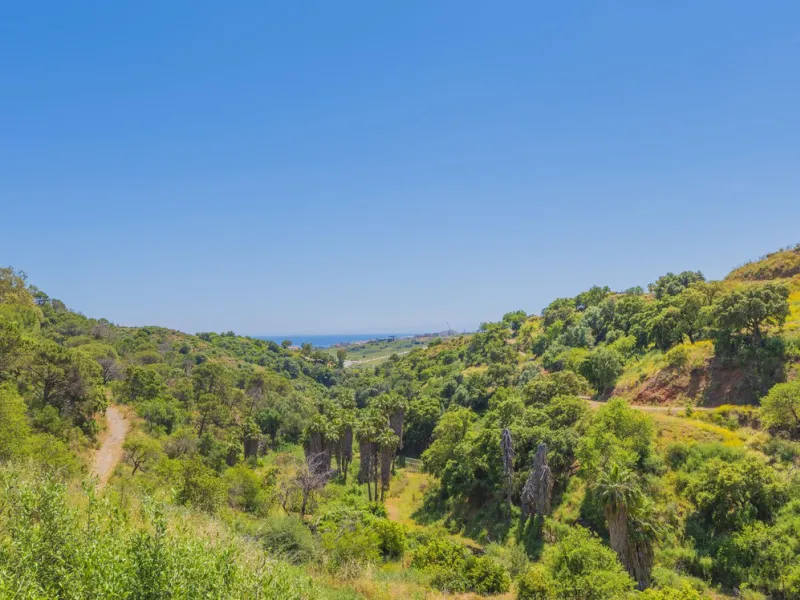 Situated at a 25 minutes walk to Estepona city and a two minute drive to the AP7 highway, this former 9 hole golf course is one of a kind.