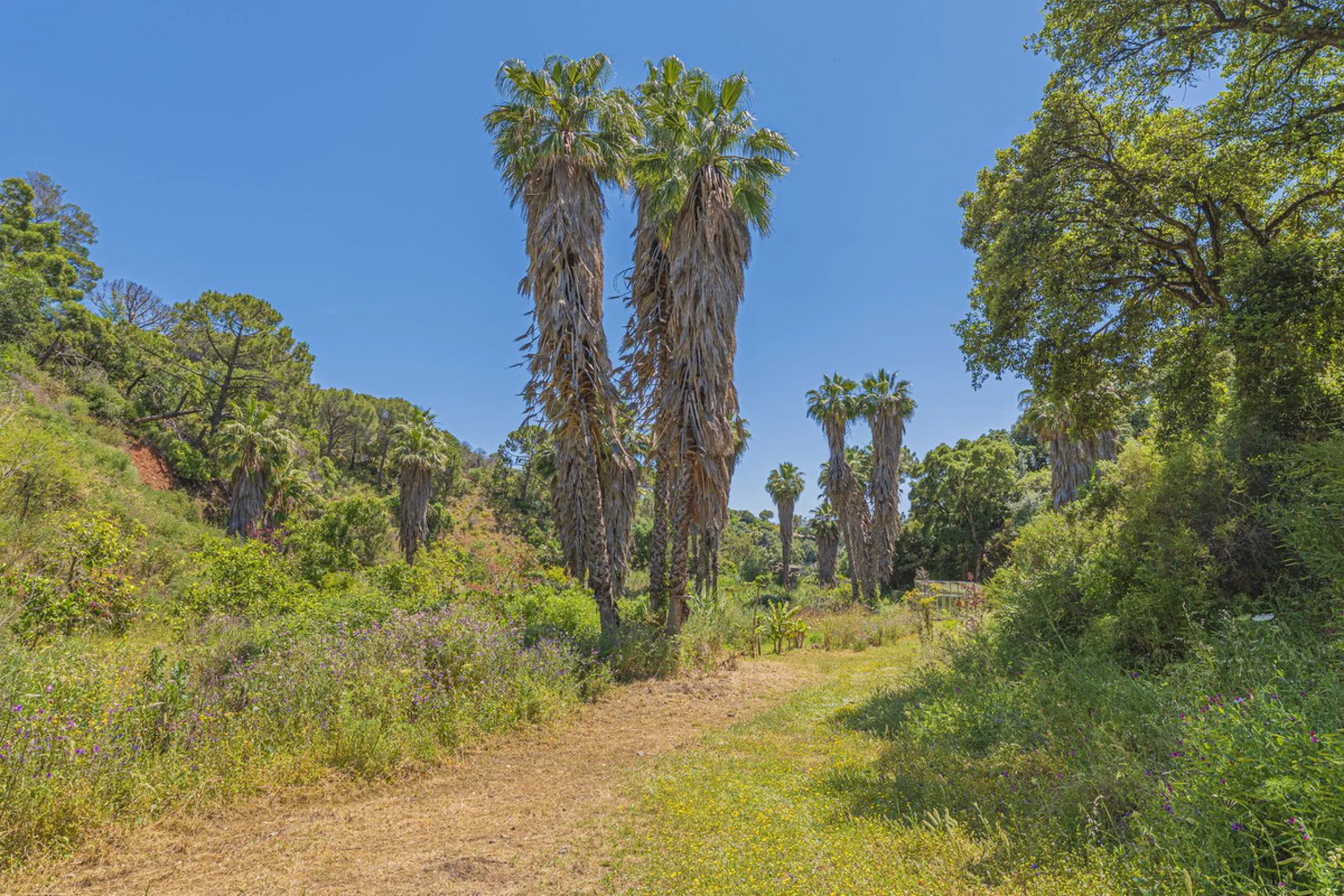 Situated at a 25 minutes walk to Estepona city and a two minute drive to the AP7 highway, this former 9 hole golf course is one of a kind.