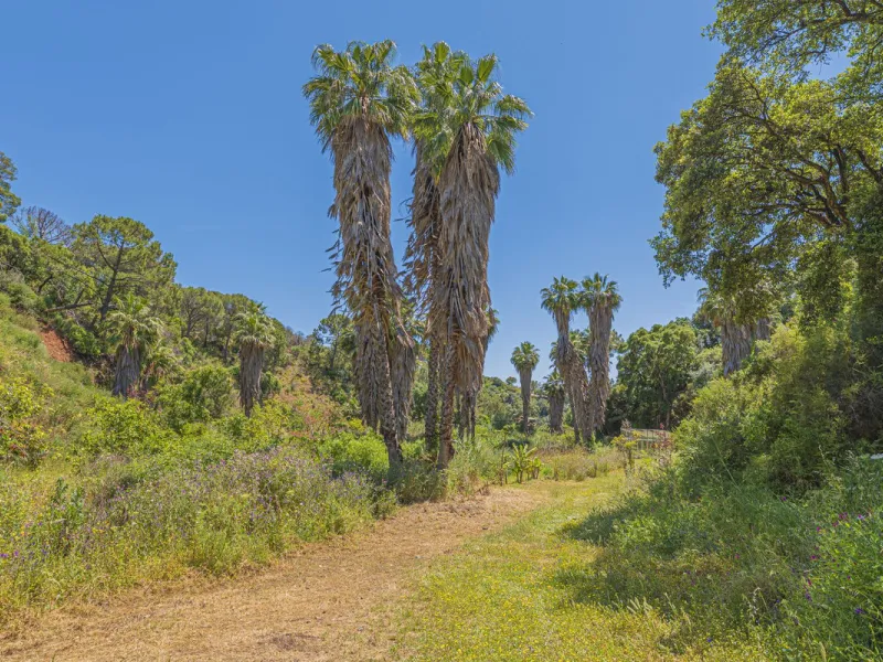 Situated at a 25 minutes walk to Estepona city and a two minute drive to the AP7 highway, this former 9 hole golf course is one of a kind.
