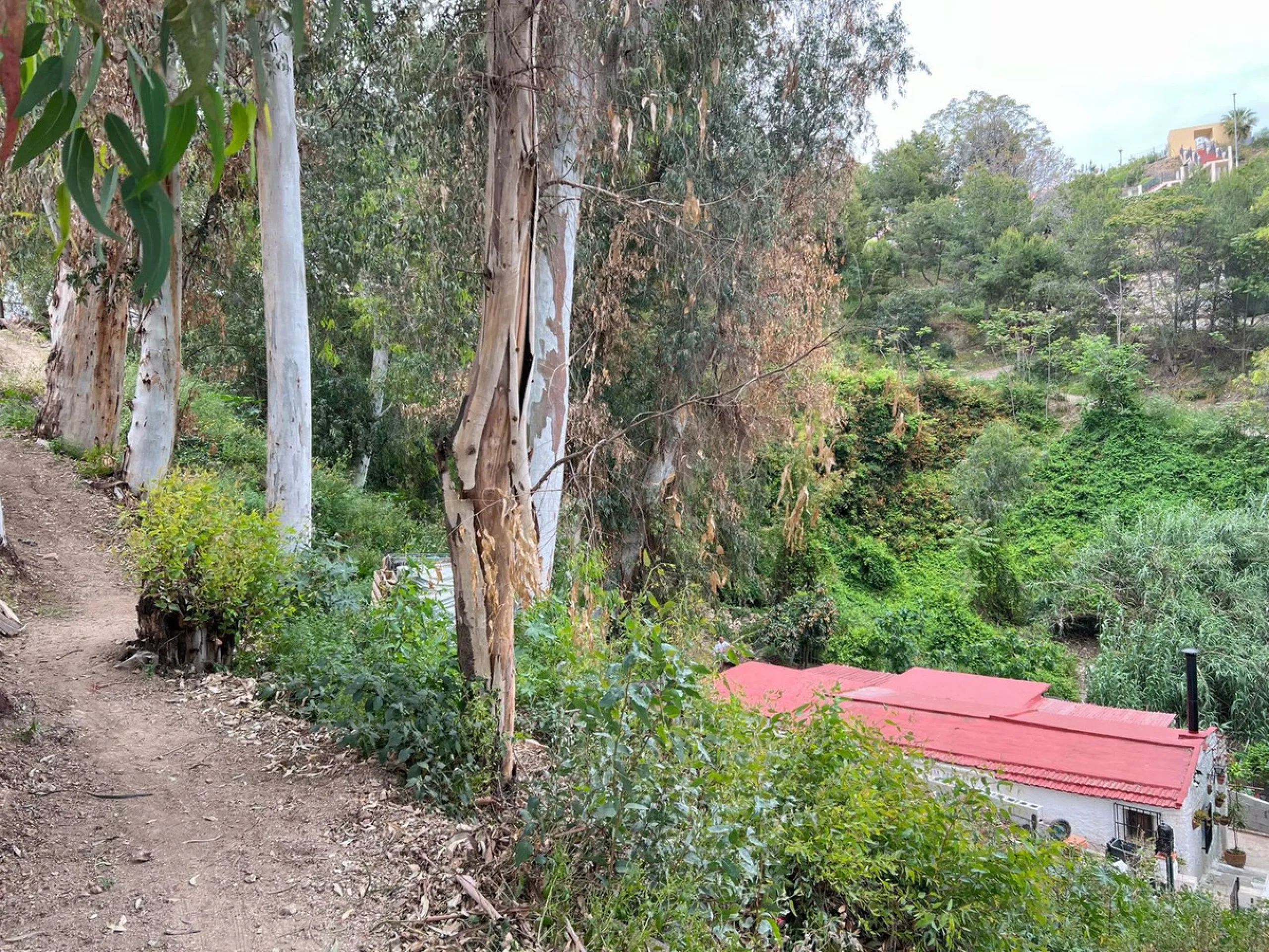 Plot - Residential Plot в продаже в Málaga, Málaga. Площадь дома 1469 м². Площадь участка 1469 м²