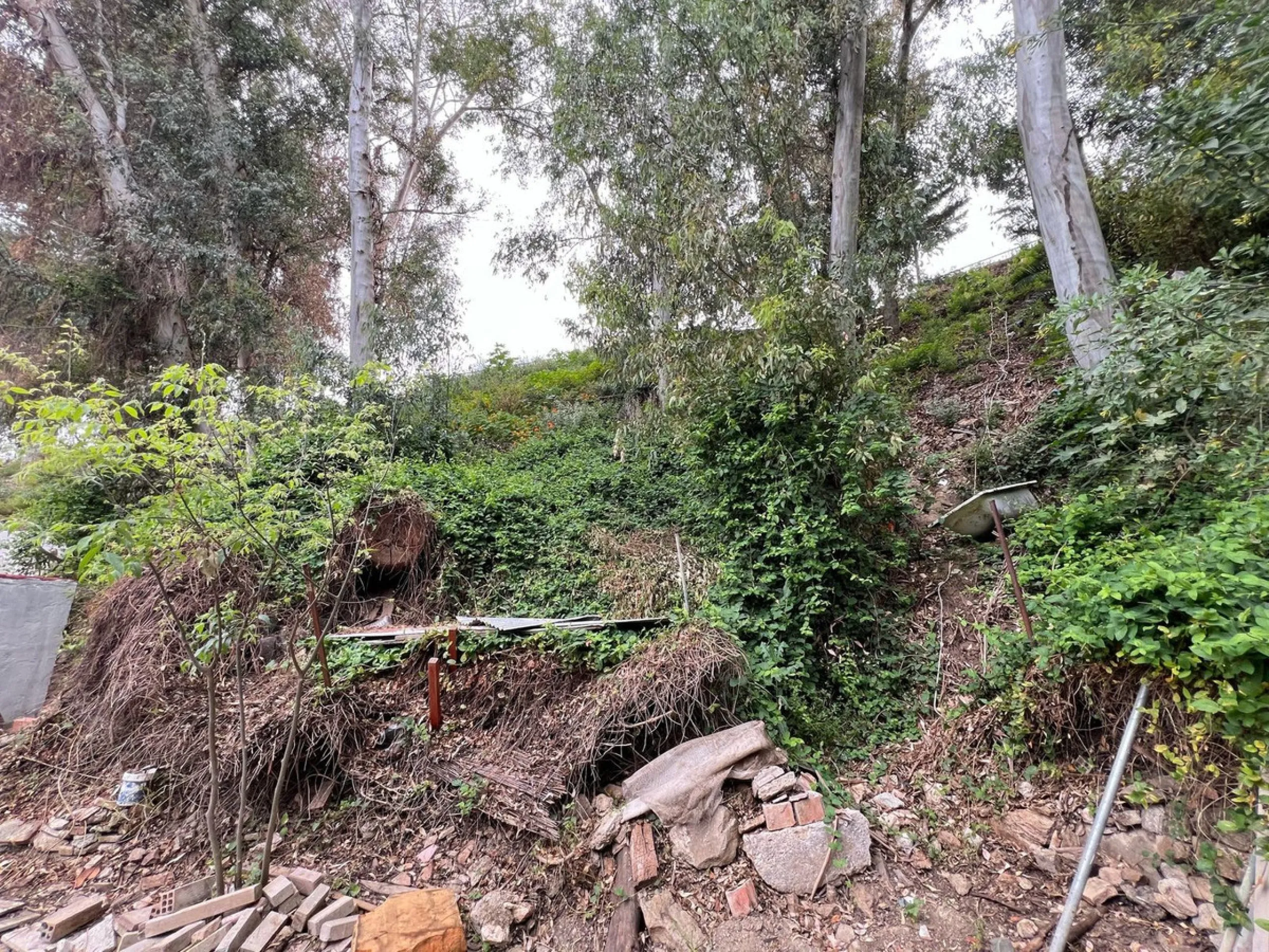 Plot - Residential Plot в продаже в Málaga, Málaga. Площадь дома 1469 м². Площадь участка 1469 м²