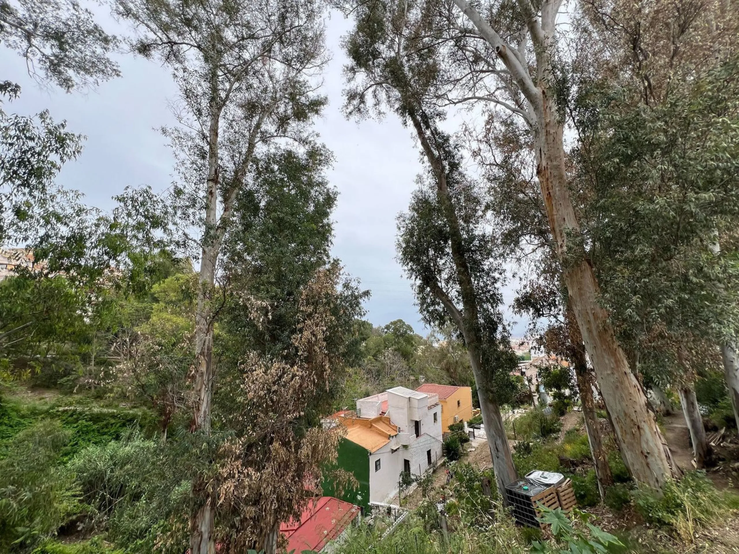 Plot - Residential Plot в продаже в Málaga, Málaga. Площадь дома 1469 м². Площадь участка 1469 м²