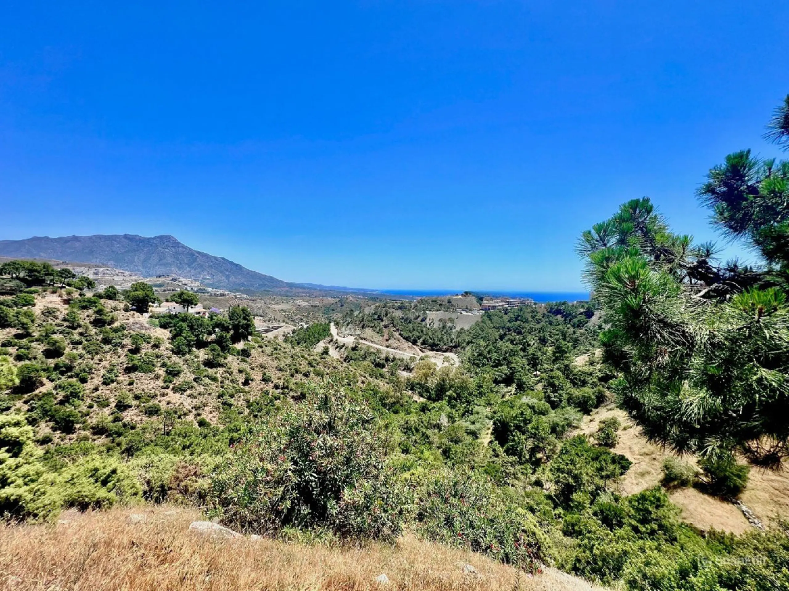 PLOT FOR SALE WITH PROJECT AND LICENSE IN PRESTIGIOUS EL MADROÑAL – GATE 1
