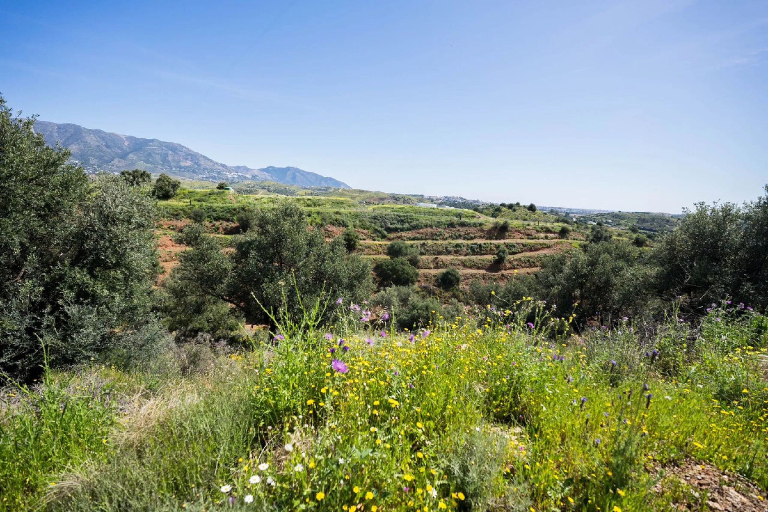 Plot - Land в продаже в Mijas, Málaga. Площадь участка 29719 м²