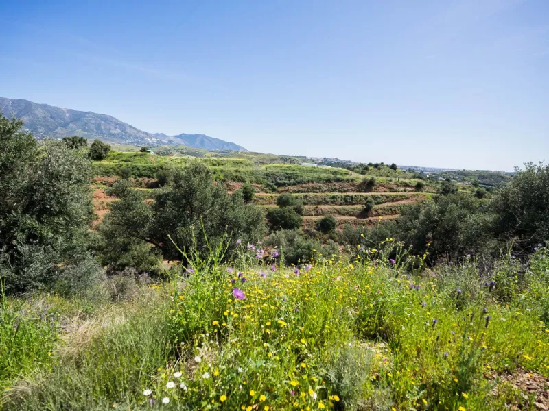 Plot - Land в продаже в Mijas, Málaga. Площадь участка 29719 м²