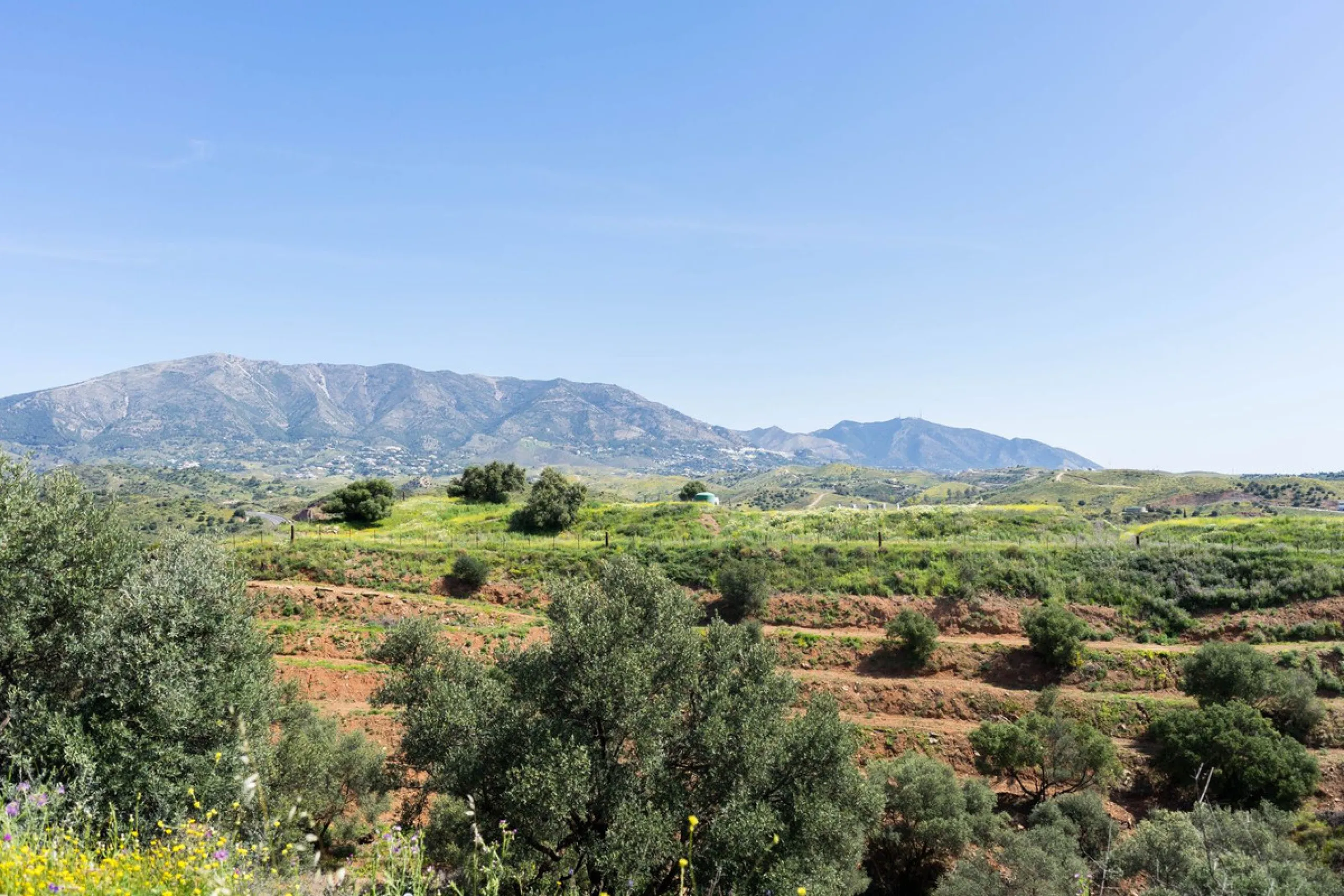 Plot - Land в продаже в Mijas, Málaga. Площадь участка 29719 м²