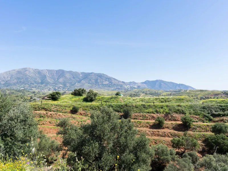 Plot - Land в продаже в Mijas, Málaga. Площадь участка 29719 м²